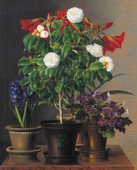 Camelias, amaryllis, hyacinth and violets in ornamental pots on a marble ledge, Johan Laurentz Jensen